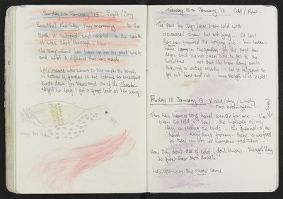 Journal entry for 6th - 18th January 2013