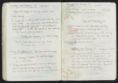 Journal entry for 20th - 26th January 2013