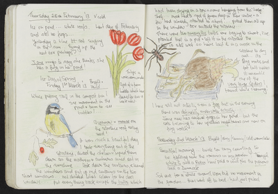 Journal entry for 28th February - 2nd March 2013