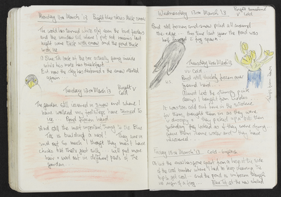 Journal entry for 11th - 15th March 2013