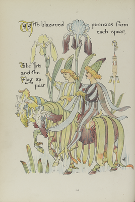 Page sixteen from 'Flora's Feast', the Iris