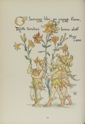 Page twenty-six from 'Flora's Feast', Lilies continued 