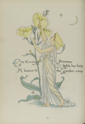 Page thirty from 'Flora's Feast', the Primrose