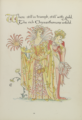 Page thirty-nine from 'Flora's Feast', Chrysanthemums