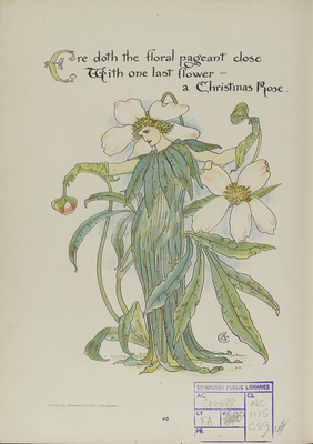 Page forty from 'Flora's Feast', A Christmas Rose