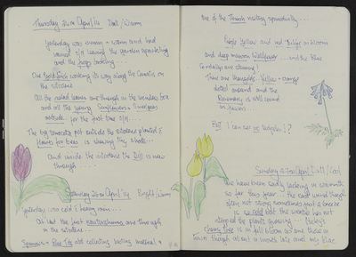 Journal entry for 24th - 27th April 2014, Sitooterie 3