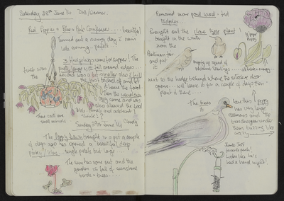Journal entry for 28th - 29th June 2014, Sitooterie 3