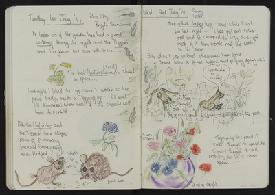 Journal entry for 1st - 2nd July 2014, Sitooterie 3