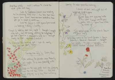 Journal entry for 7th - 8th July 2014, Sitooterie 3