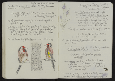Journal entry for 13th - 15th July 2014, Sitooterie 3