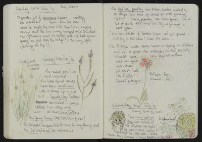 Journal entry for 28th - 30th July 2014, Sitooterie 3