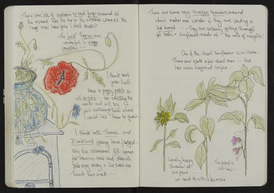 Journal entry for 30th July 2014, Sitooterie 3