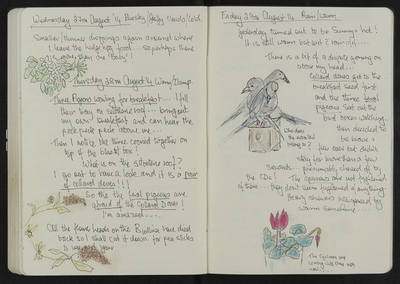Journal entry for 27th - 29th August 2014, Sitooterie 3