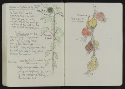 Journal entry for 1st - 2nd Sept 2014, Sitooterie 3