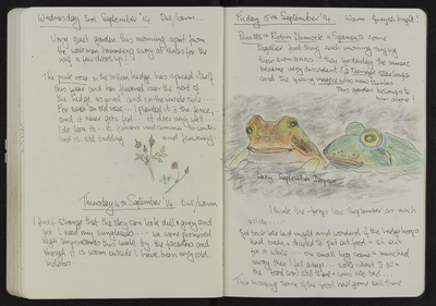Journal entry for 3rd - 5th Sept 2014, Sitooterie 3