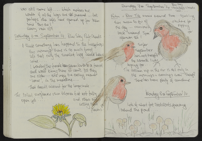 Journal entry for 6th - 8th Sept 2014, Sitooterie 3