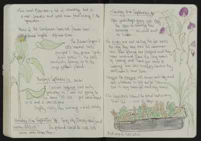 Journal entry for 14th - 16th Sept 2014, Sitooterie 3