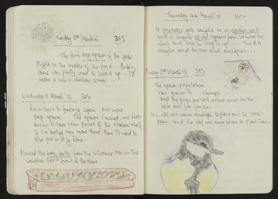Journal entry for 10th - 13th March 2015, Sitooterie 4