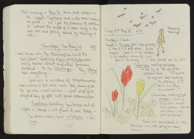 Journal entry for 7th - 8th May 2015, Sitooterie 4