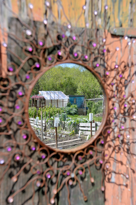 A mirror view of the allotment