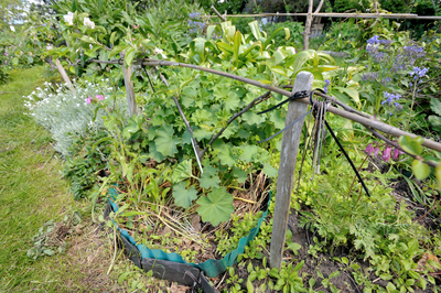 Growing frame, Warriston Allotments