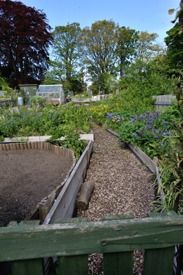 Path to allotments