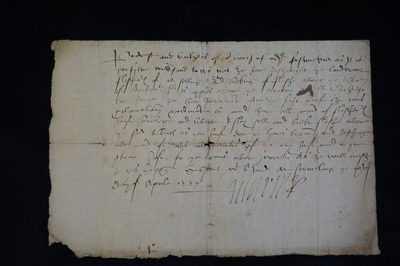 1557 order by Mary Queen of Scots relating to fleshers