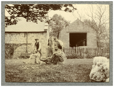 Photograph of three farm workers at Lauriston Farm