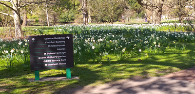 Arboretum, Royal Botanic Garden, Edinburgh