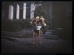 A flower arrangement in front of Ashlea House