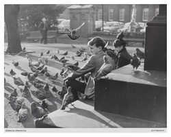Feeding the pigeons in east Princes Street Gardens